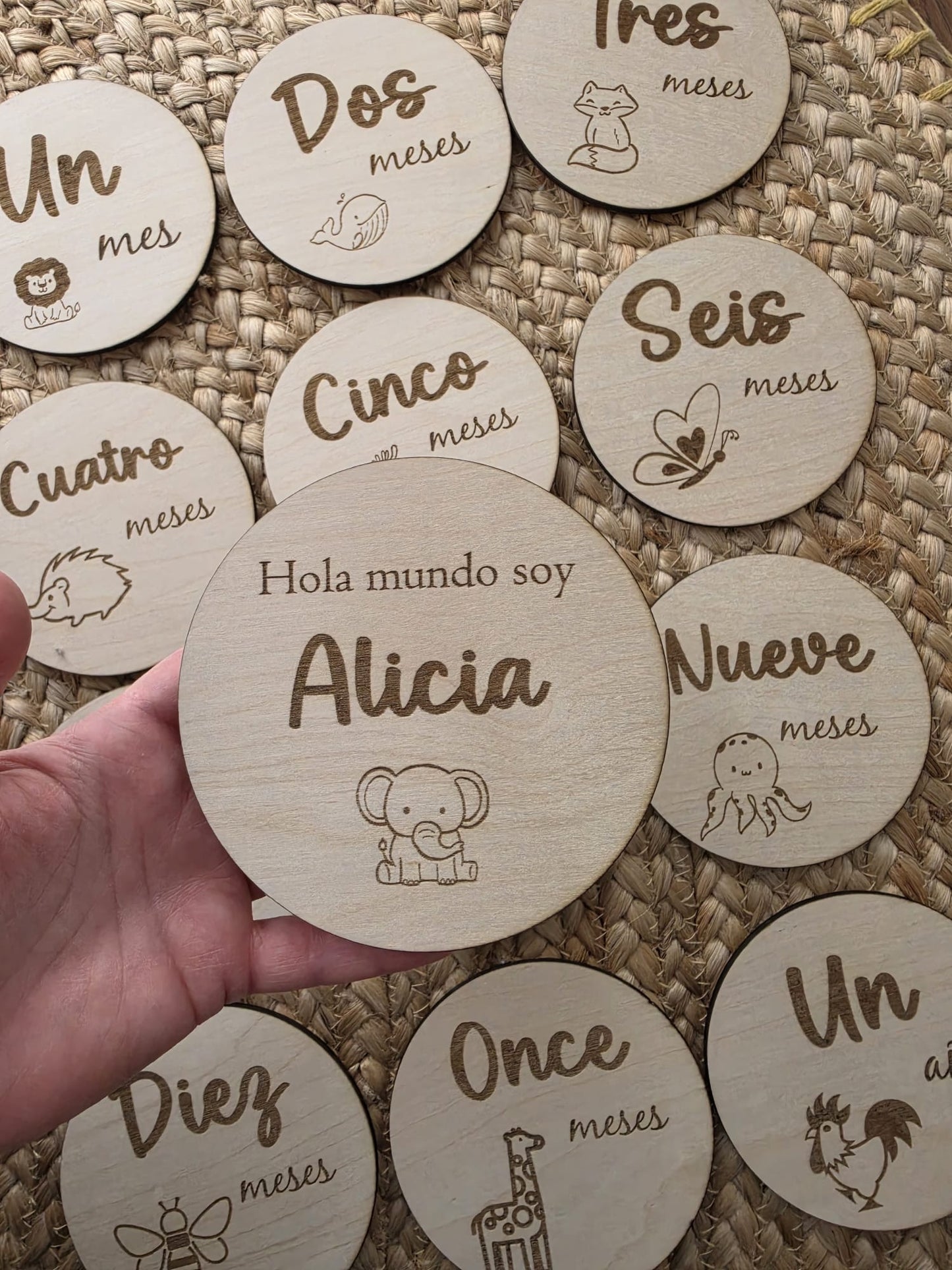 PLACAS CON MESES