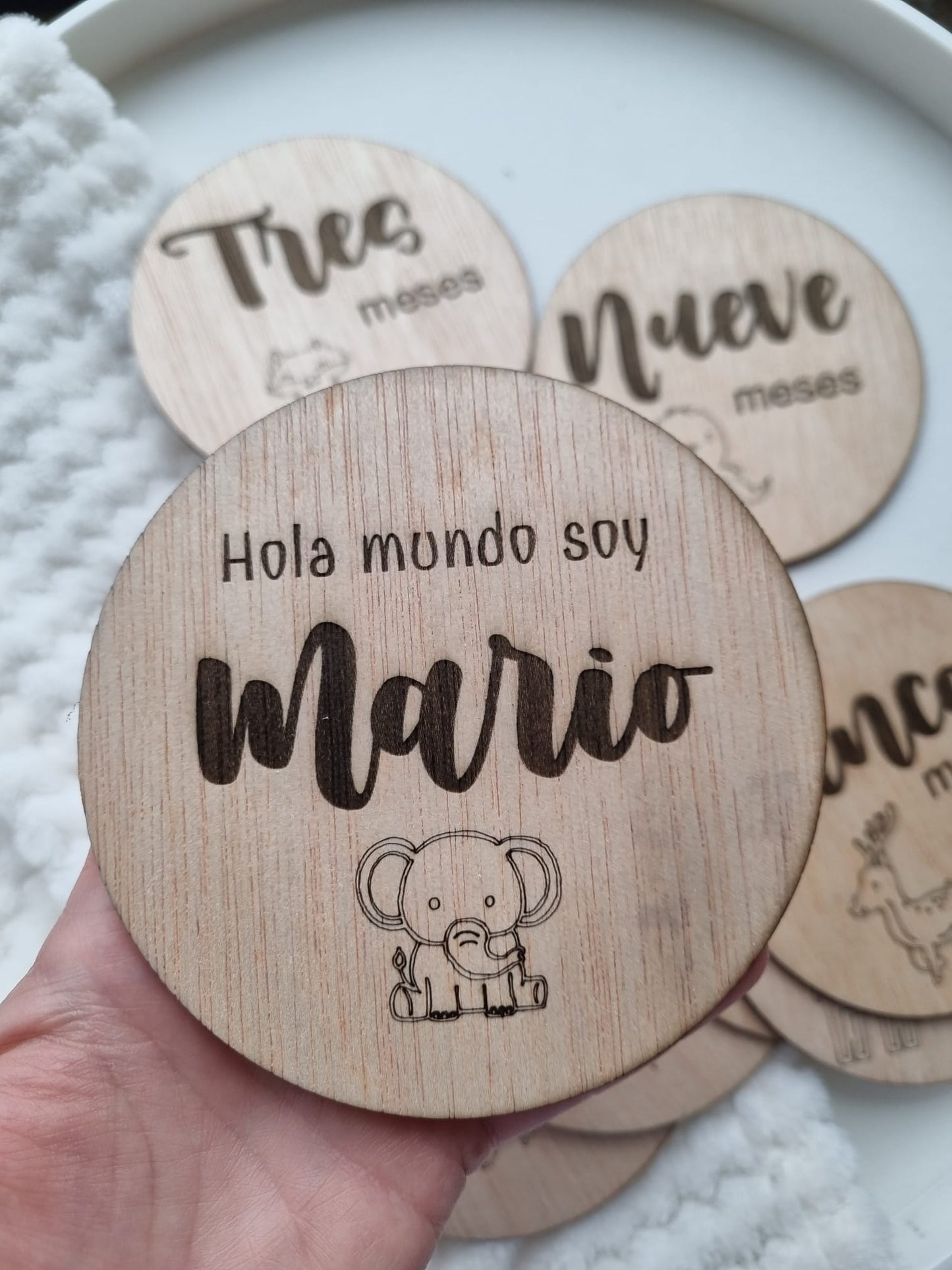 PLACAS CON MESES