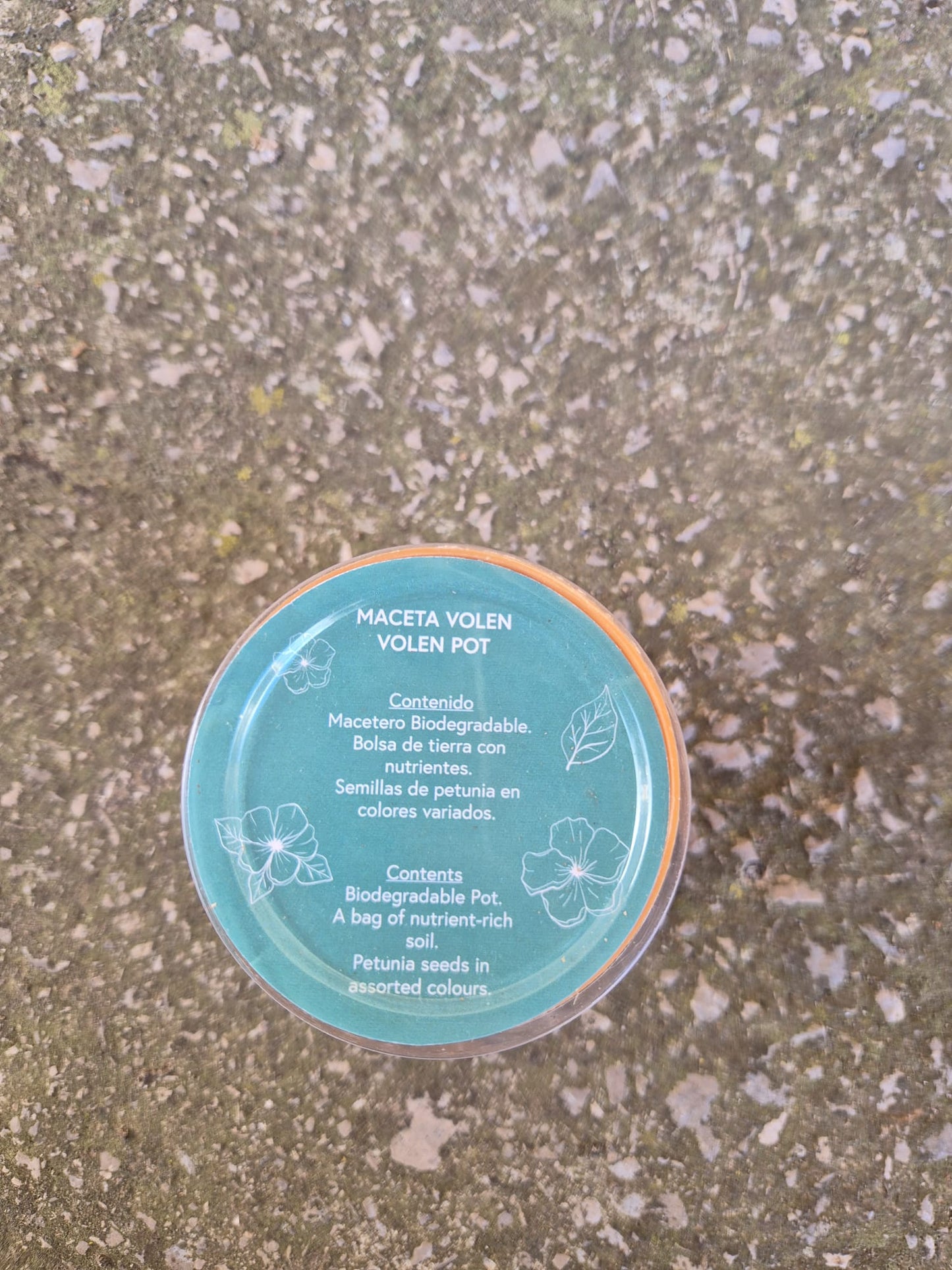 MACETA BIODEGRADABLE CON SEMILLAS DE PETUNIA