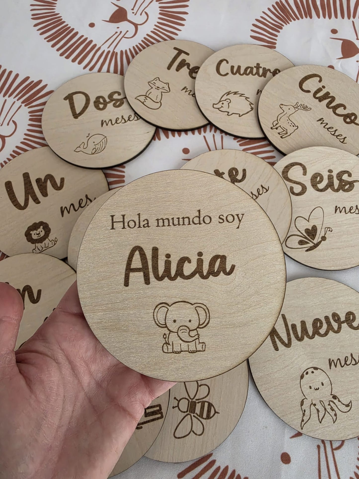 PLACAS CON MESES