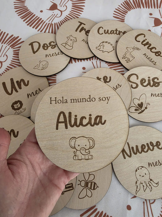 PLACAS CON MESES